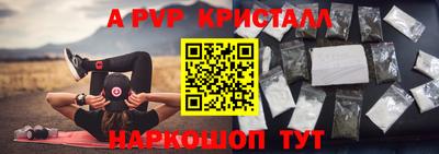 ECSTASY Гай
