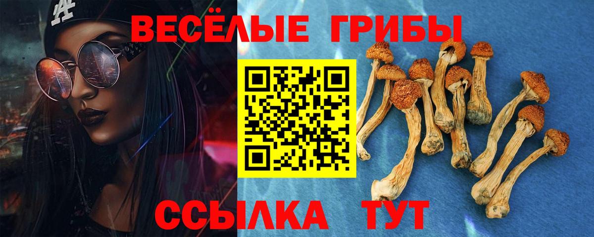 Гусиноозёрск  Галлюциногенные грибы ЛСД  Вход с VPN 
